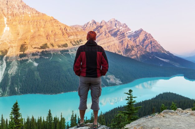 Peyto Lake in Banff National Park, Canada