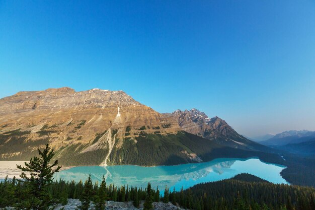 Peyto lake