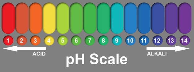 pHアルカリ性および酸性スケール