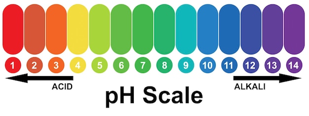 사진 ph 알칼리성 및 산성 스케일