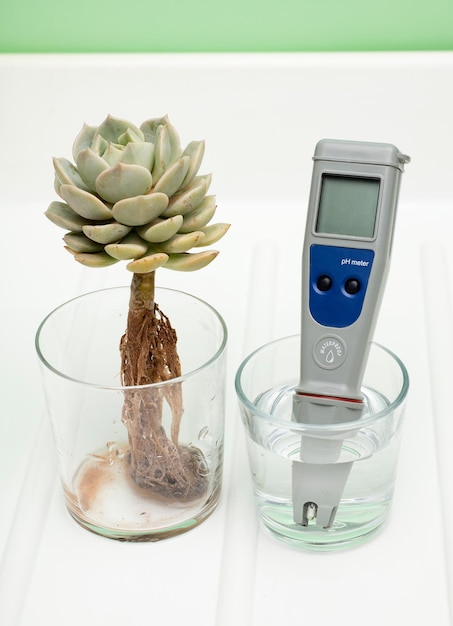 pH meter in a glass of water and plant roots on a white background Measurement of drinking water