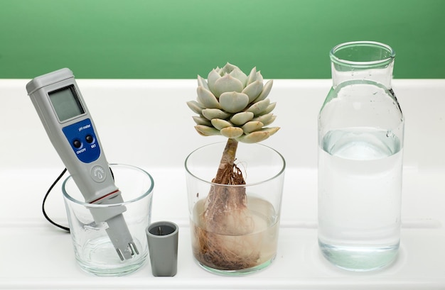 水のガラスのpHメーターと白い背景の上の根が見られるボトルと植物