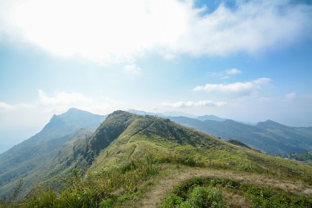 Pha Tung-berg Chiang Rai Thailand