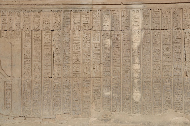 pharaonic wall carvings at ancient egyptian temple of Kom Ombo