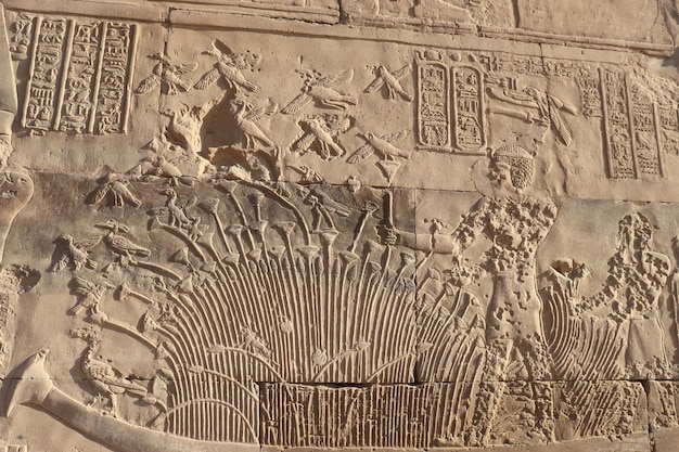 pharaonic wall carvings at ancient egyptian temple of Kom Ombo