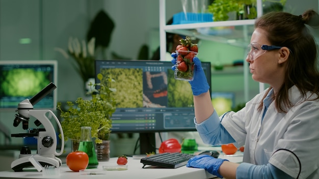 Photo pharmaceutical scientist looking at glass with strawberry while typing medical expertise on computer. biochemist injecting fruits with pesticides checking genetic test working in agriculture laborator