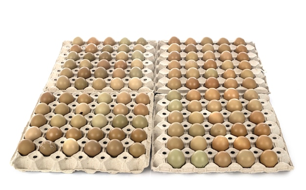 Pheasant eggs in cardboard boxes