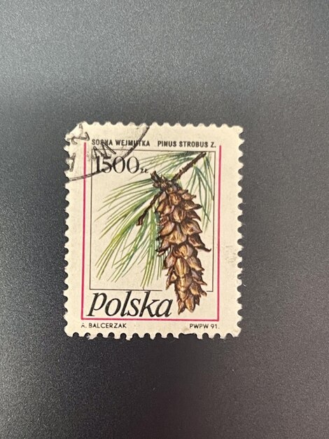 Photo philatelic journey exploring stamps from various countries and historical events