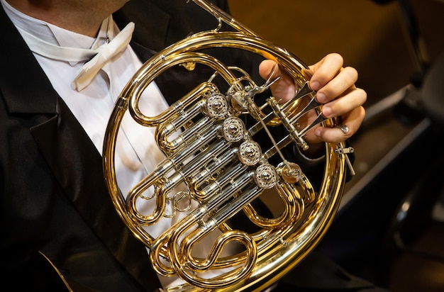 Philharmonist of muzikant die bij het concert op de hoorn speelt