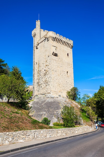 Philippe le Bel toren Avignon