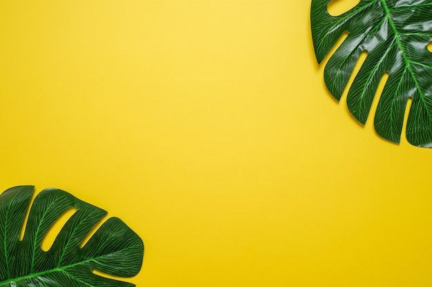 Philodendron tropical leaves on yellow color background minimal summer