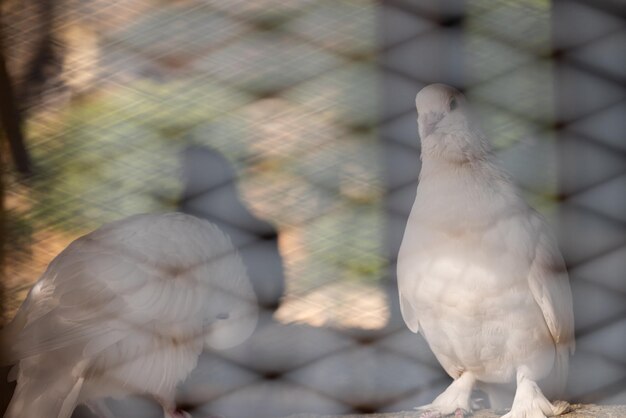 Photo photo of animal beak beauty photo