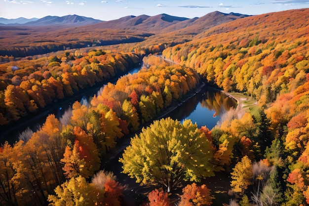 Фотография осеннего леса, вид с дрона