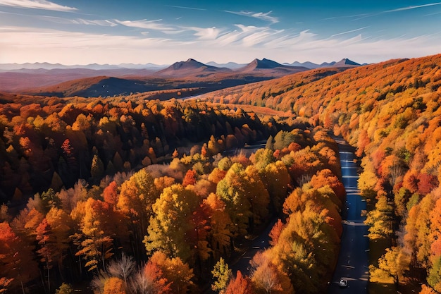 Фотография осеннего леса, вид с дрона