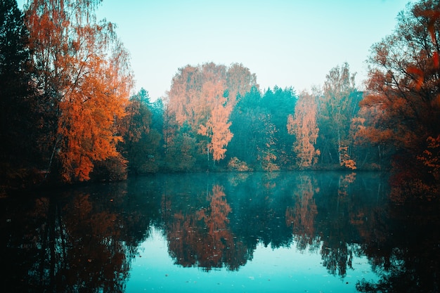 Photo of autumn trees and pond