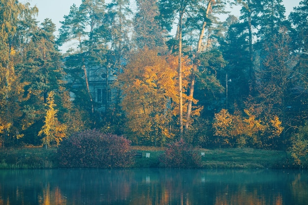 Photo of autumn trees and pond