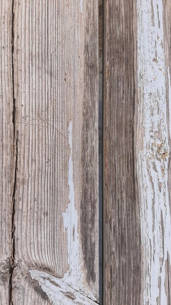 photo background, texture natural wood old cedar, black and yellow colors. organic