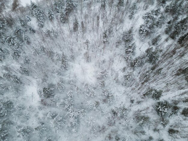 Photo background texture of a winter forest taken from a drone High quality photo