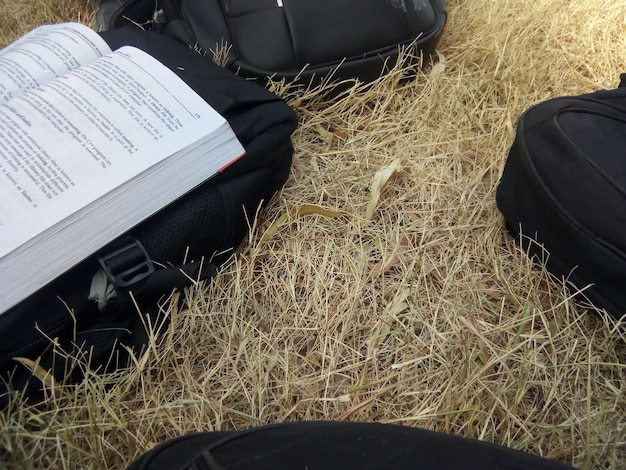 A photo of bags on grass with book