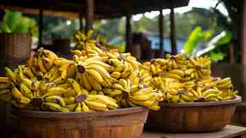 Photo a photo of baskets of farmfresh plantains for sale