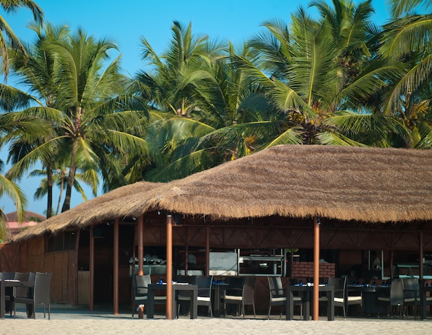 Foto foto bellissimo scenario di spiaggia palme di mare in india goa