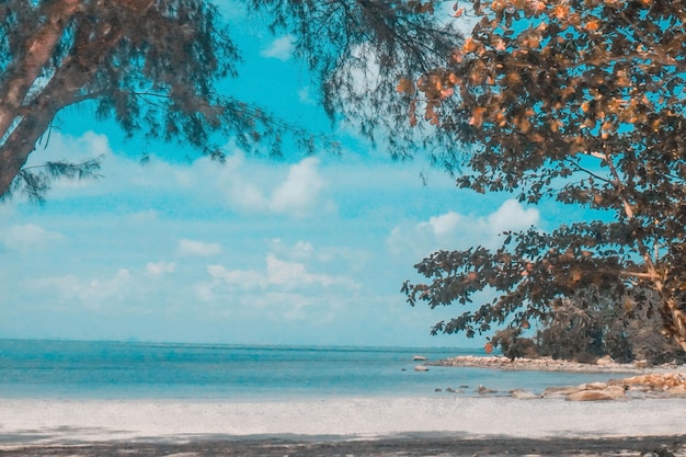 a photo of beautiful calm sea shore taken in Bintan, Indonesia