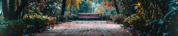 Photo photo of beautiful city walk in public garden