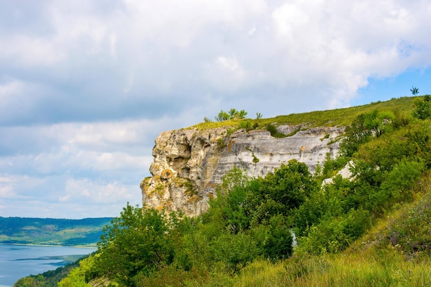 Photo of a beautiful high cliff and green plants