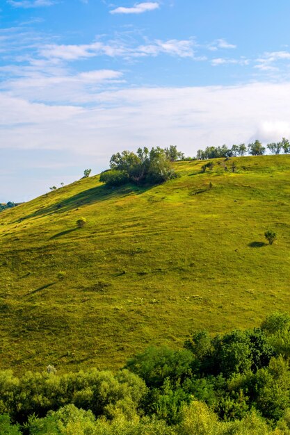 Фото красивого холма и зеленой травы летом