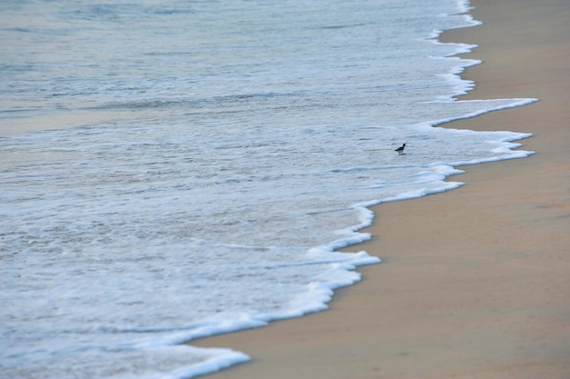 Photo photo beautiful landscape coast sand and sea