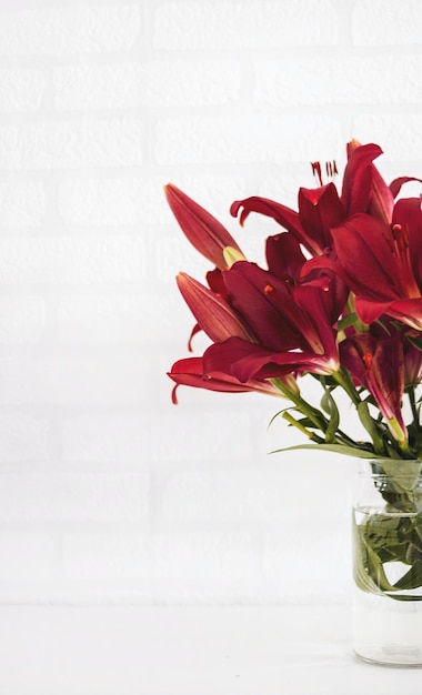 Photo beautiful red flowers