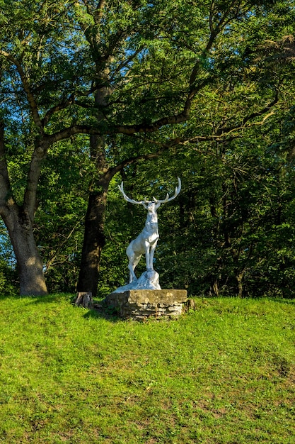 Photo of beautiful white statue of deer in a park in KamyanetsPodilsky
