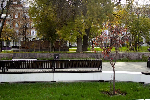 Photo of a bench in the city square