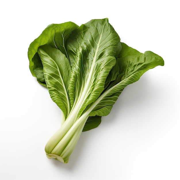 A photo of a Bok Choy Leaf realistic white background generated by artificial intelligence