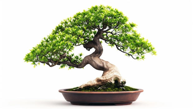 Photo photo of bonsai tree in a pot in isolated background a perfect bonsai plant ai generated