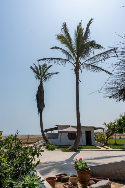 photo book of a beach house with palm trees on the coast of Peru