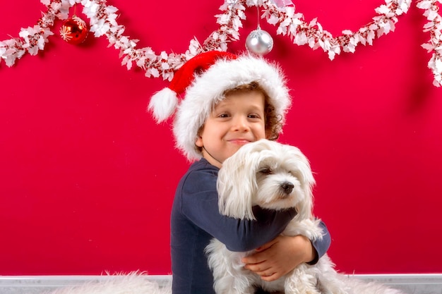 子犬を抱きしめるサンタクロースの帽子をかぶった少年の写真