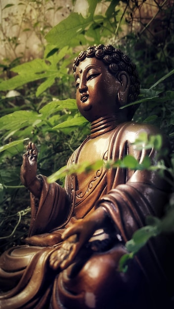 photo of Buddha statue in meditation in the forest during the day