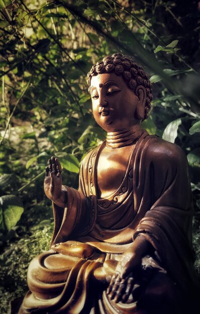 Photo of Buddha statue in meditation in the forest during summer