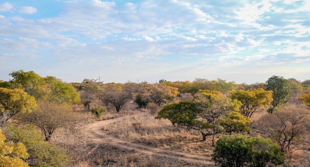 Photo of bush country dinokeng