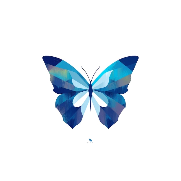 photo of butterfly