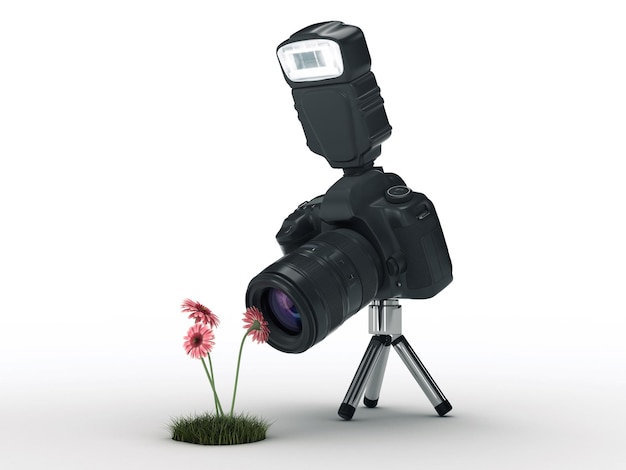 photo camera and flowers