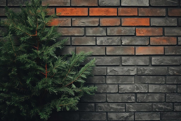 A photo of christmas tree branches against a brick wall in the style of neoconcrete