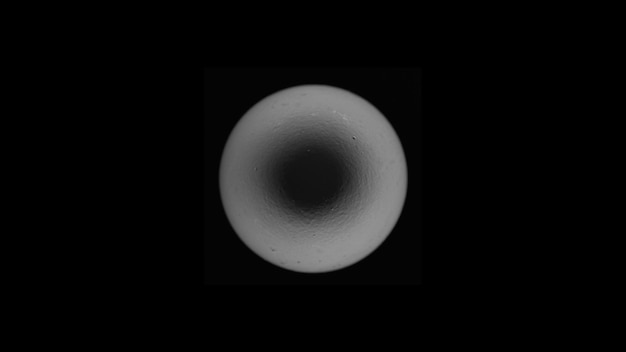 Photo of a circularly lit black and white egg on a black background