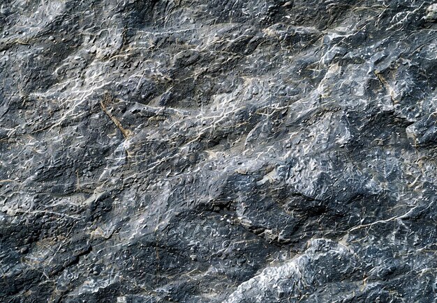 Photo of close up stone texture background design