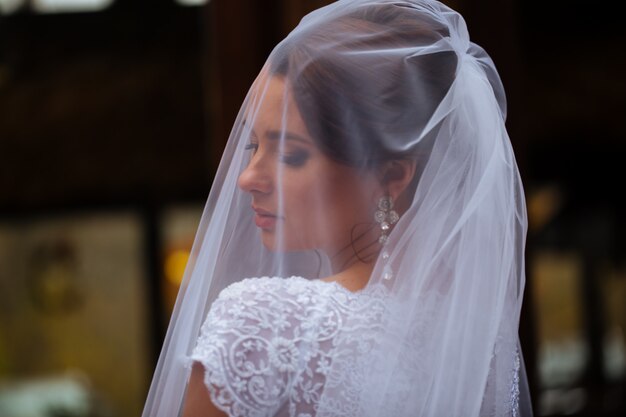 Photo photo closeup of beautiful young bride in ornamental wedding lace dress long veil