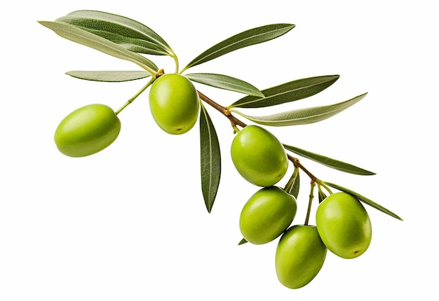 Foto foto del primo piano dell'olio d'oliva naturale biologico e delle olive con foglie di olivo