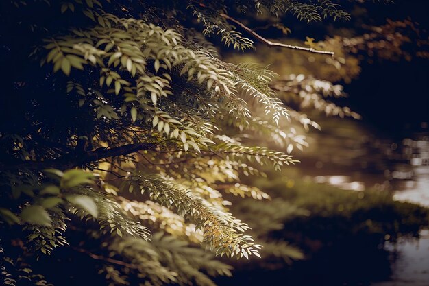 植物 の クローズアップ 写真