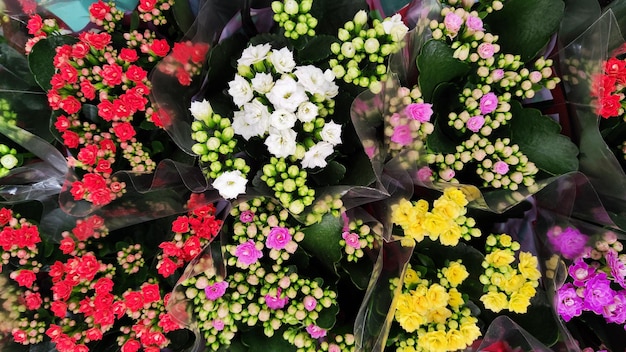 Photo of colorful flowers in bouquets top view