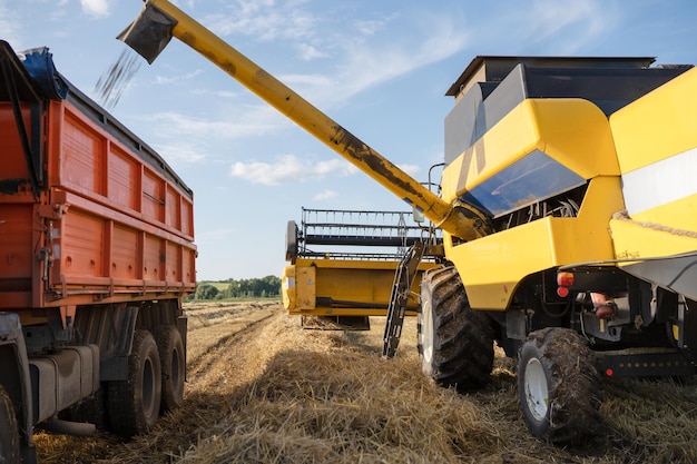 Foto foto della mietitrebbia che raccoglie il grano in autunno